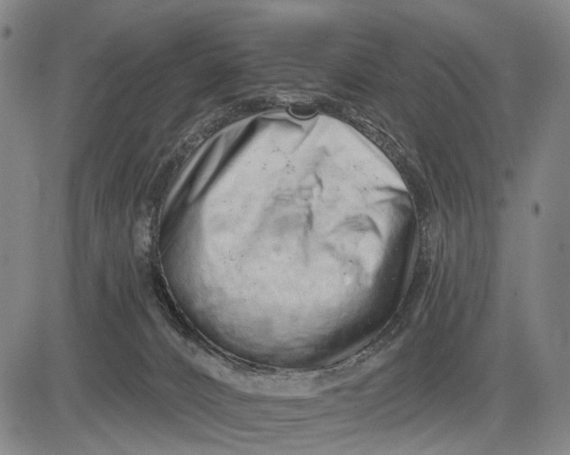 X0000083610032200703051555