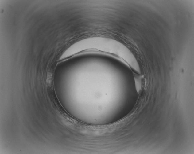 X0000083610033200703051555