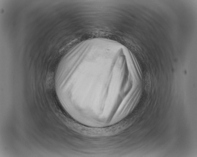 X0000083610034200703051555