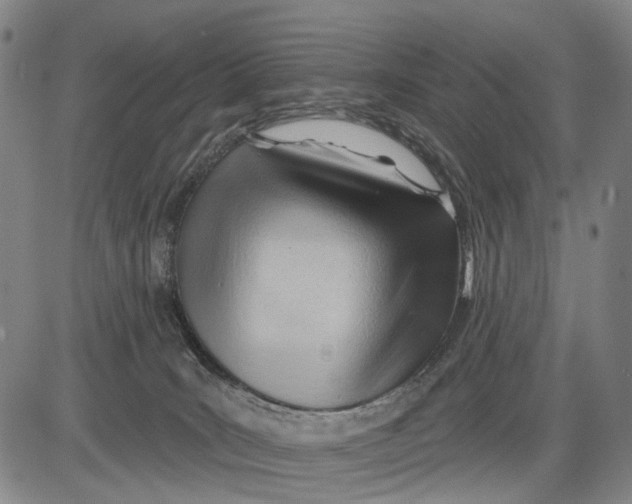 X0000083610035200703051555