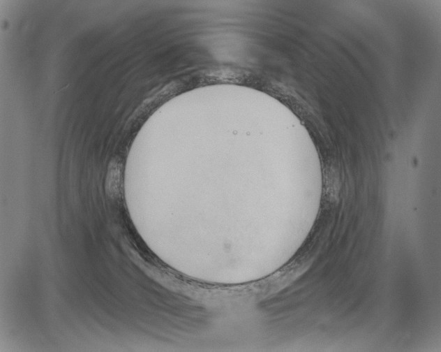 X0000083610036200703051555