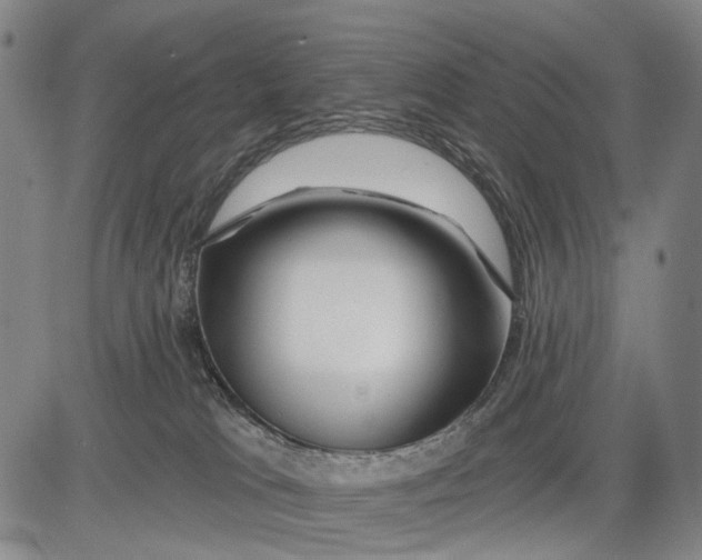 X0000083610037200703051555