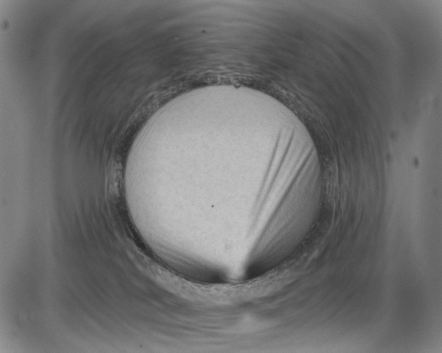 X0000083610038200703051555