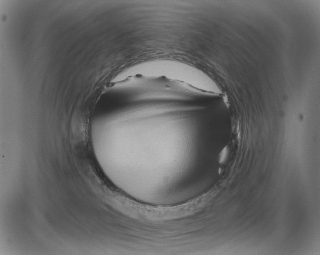 X0000083610039200703051555