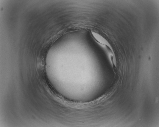 X0000083610040200703051555