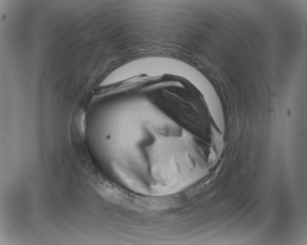 X0000083610041200703051554