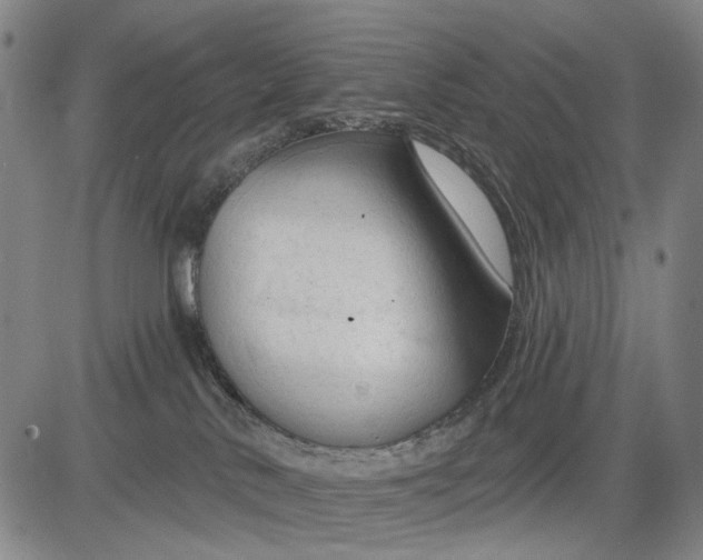 X0000083610042200703051554