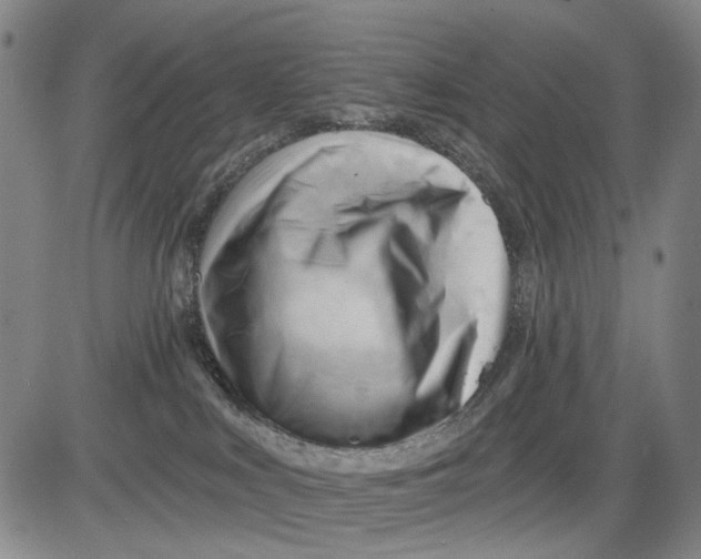 X0000083610043200703051554