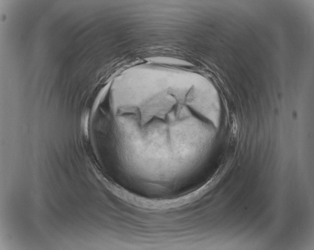 X0000083610047200703051554