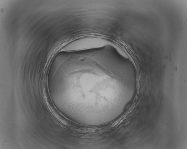 X0000083610049200703051554