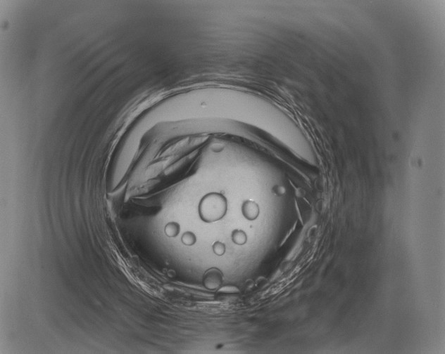 X0000083610050200703051554