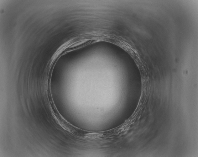 X0000083610051200703051554