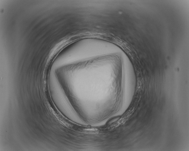 X0000083610053200703051554