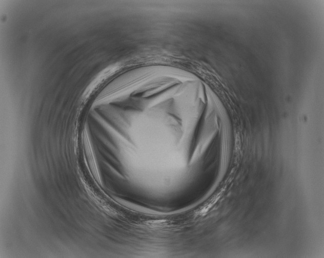 X0000083610054200703051554