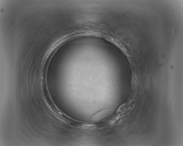 X0000083610055200703051554