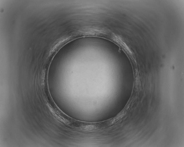 X0000083610058200703051554