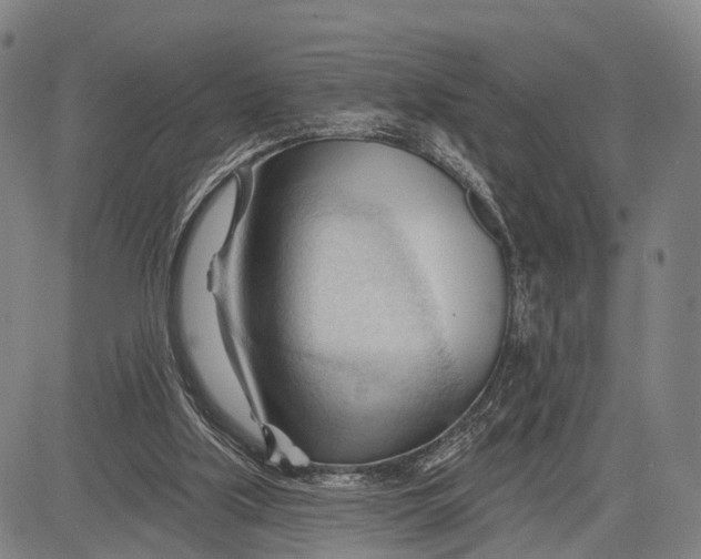 X0000083610059200703051554