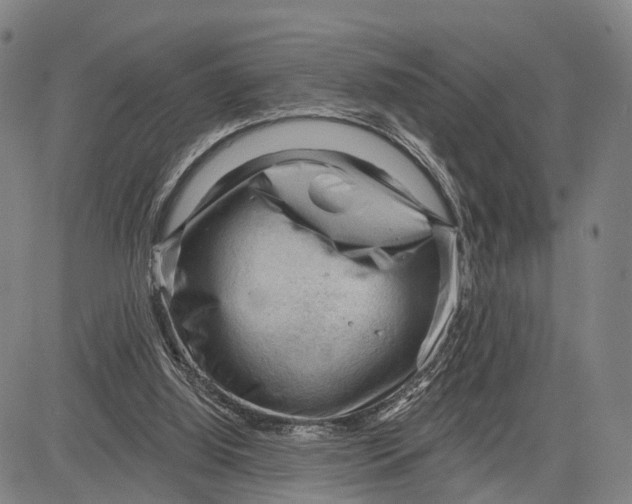 X0000083610060200703051554