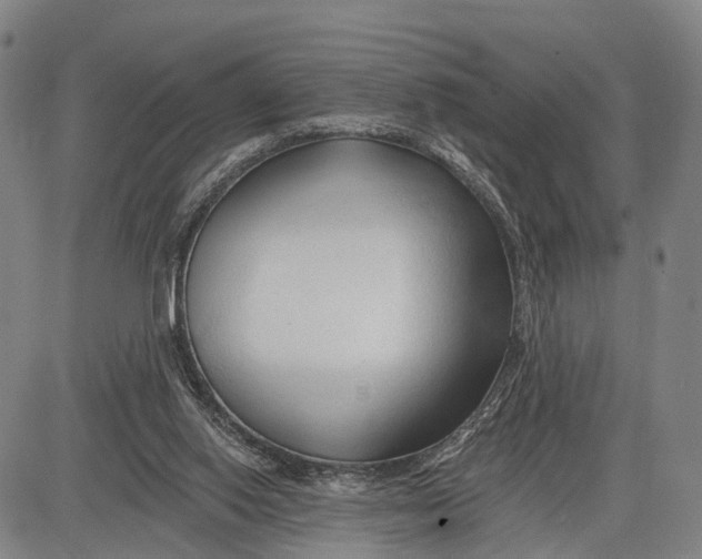 X0000083610062200703051554