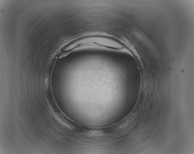 X0000083610063200703051554