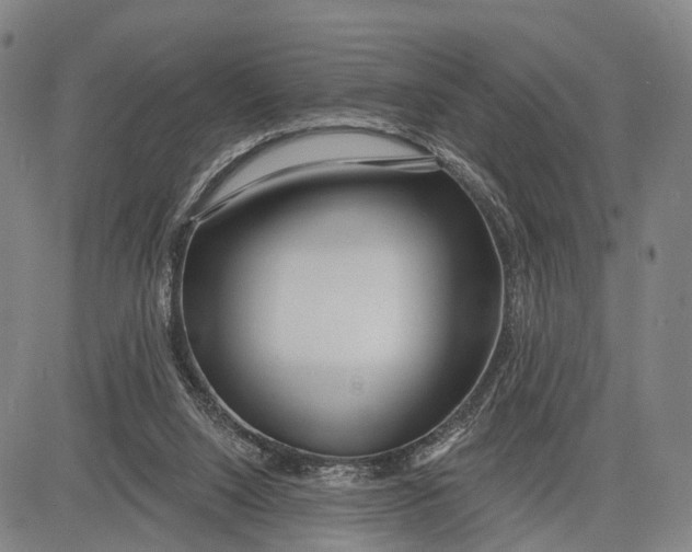 X0000083610064200703051554