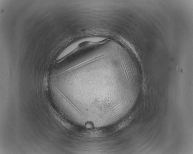 X0000083610065200703051554