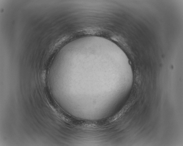 X0000083610066200703051554