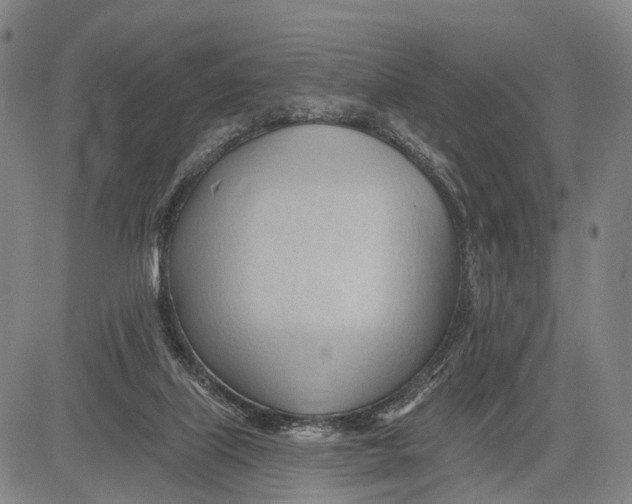 X0000083610067200703051554