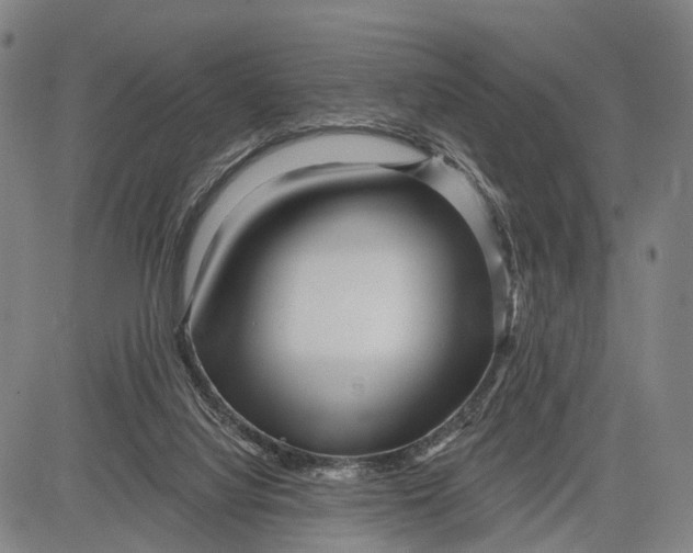 X0000083610068200703051554