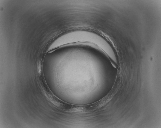 X0000083610069200703051554