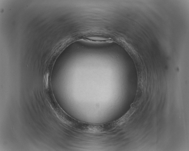 X0000083610070200703051554