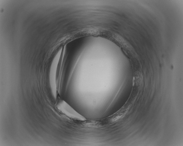 X0000083610072200703051554