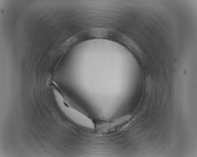 X0000083610073200703051554