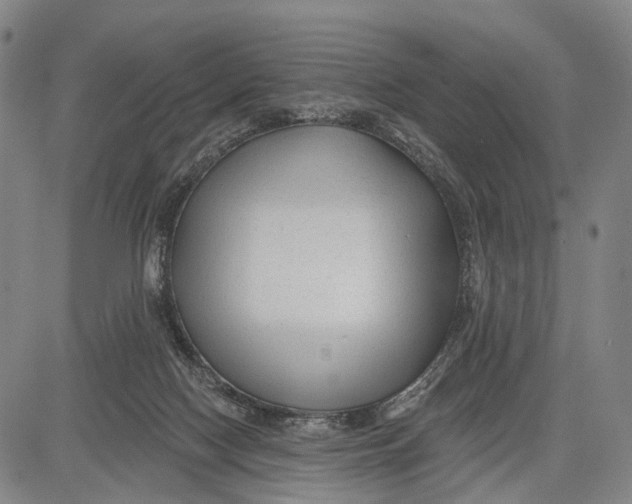 X0000083610074200703051554