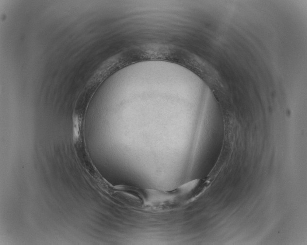 X0000083610075200703051554