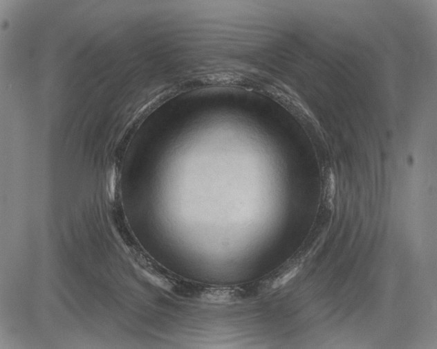 X0000083610076200703051554