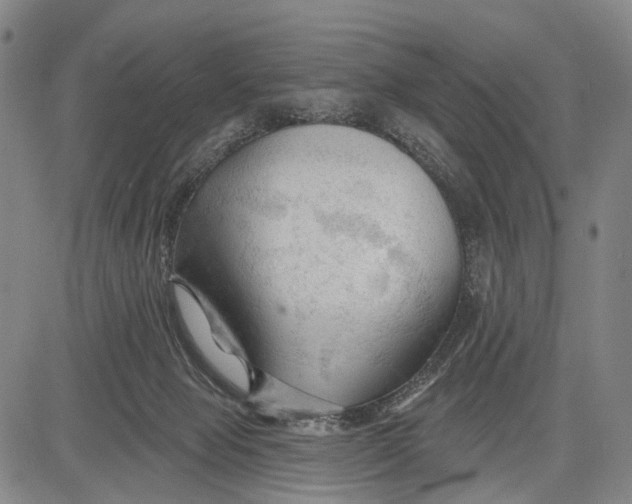 X0000083610077200703051554