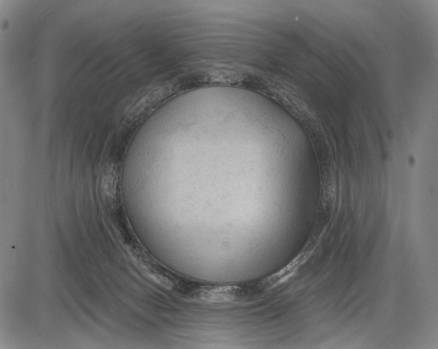 X0000083610078200703051554