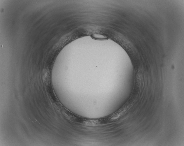 X0000083610079200703051554