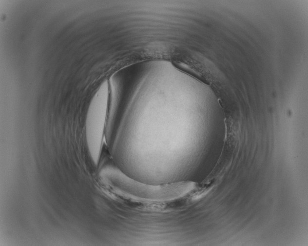 X0000083610080200703051554