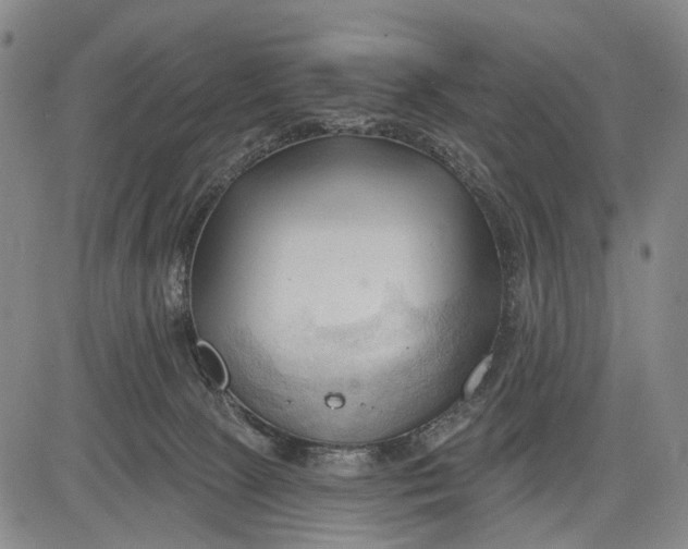 X0000083610081200703051554