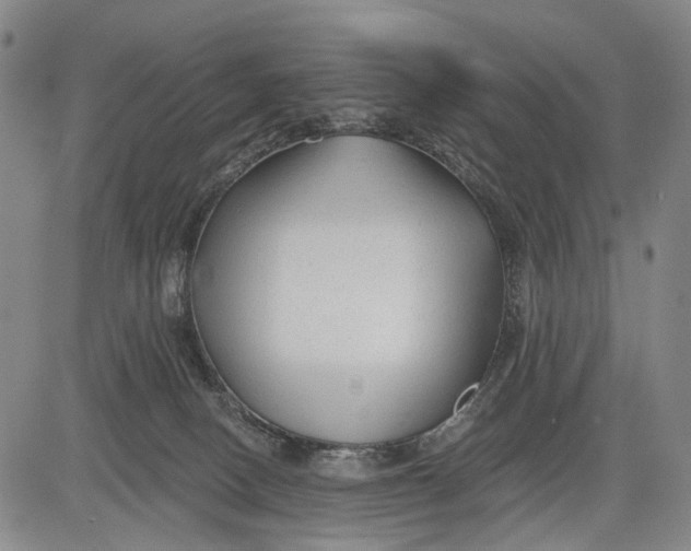 X0000083610082200703051554