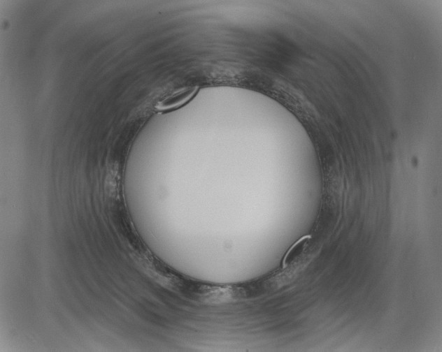 X0000083610083200703051554