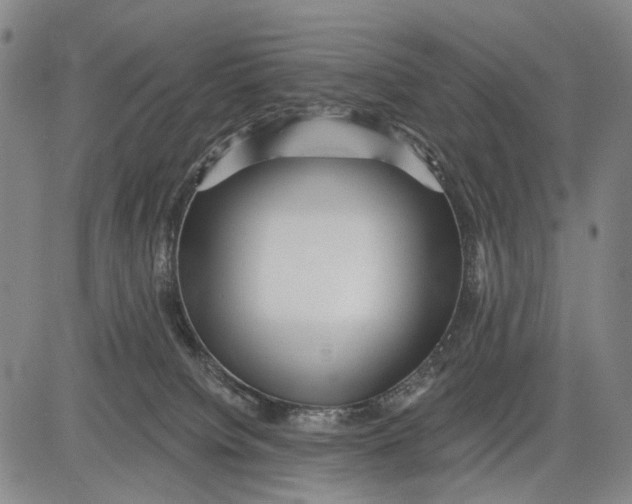 X0000083610084200703051554