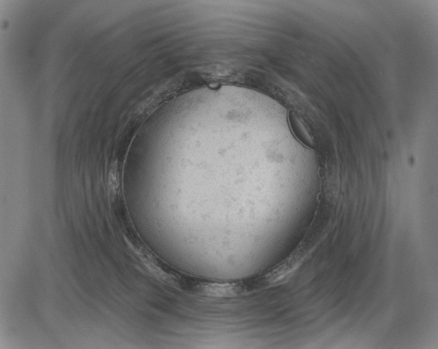 X0000083610085200703051554