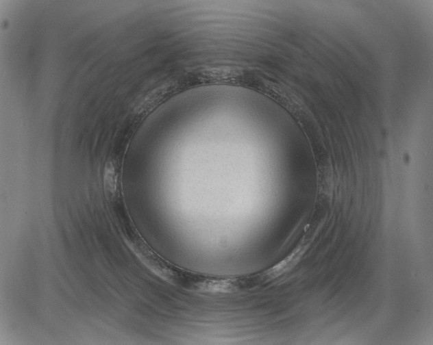 X0000083610086200703051554