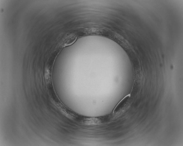 X0000083610087200703051554