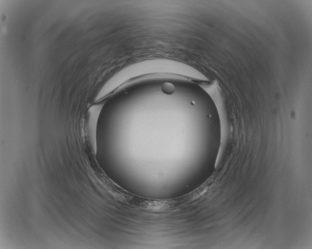 X0000083610088200703051554