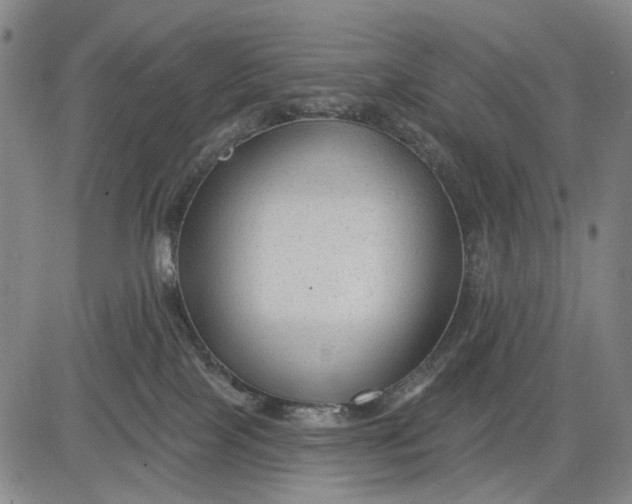 X0000083610089200703051554