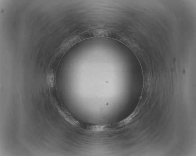 X0000083610090200703051554